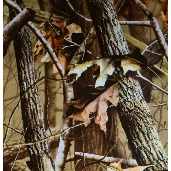 Folia do hydrografiki - Kamuflaż BC0133